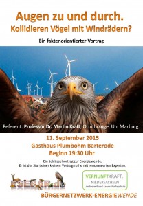 Augen zu und durch – Kollidieren Vögel mit Windrädern?
